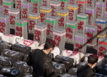 Operacion rekord në historinë e Spanjës, kapen10 tonë kokainë që ishin fshehur mes kripës –