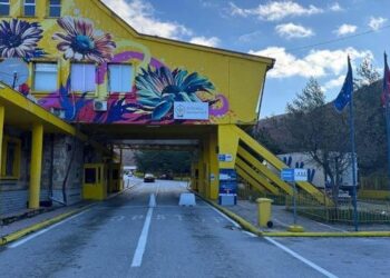 Tentoi të kalonte kufirin ilegalisht, ndalohet 30-vjeçari grek në Kapshticë –