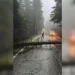 Era e fortë rrëzon pemët dhe bllokon rrugën e Llogarasë, dëmtohen edhe linjat elektrike –
