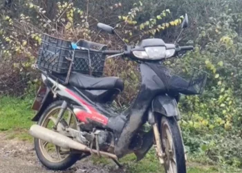 Aksident me vdekje në Lushnjë, humb jetën 70-vjeçari (Emri) –