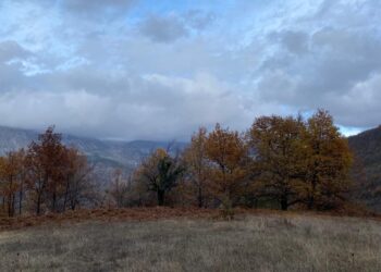 Parashikimi i motit për sot, 9 Janar 2026