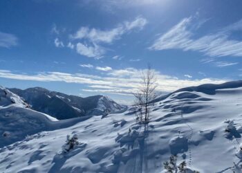 Parashikimi i motit për sot, 12 Janar 2025