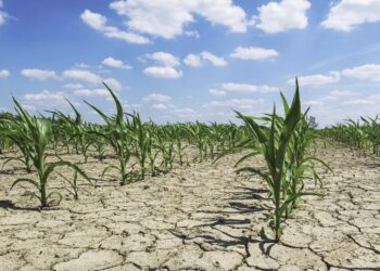 Nuk është marrë asnjë masë! Bujqësia dhe ekonomia do të përballen me një humbje prej 17 miliardë dollarë –