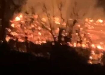 Zjarr në Elbasan/ Shkrumbohet një banesë, 4 anëtarë të familjes pa strehë –