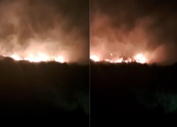 Zjarr në zonën e Lagunës në Orikum, era e fortë favorizon përhapjen e flakëve –