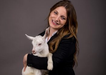 Skandali, deputetja e Ramës i quan shqiptarët dele? –