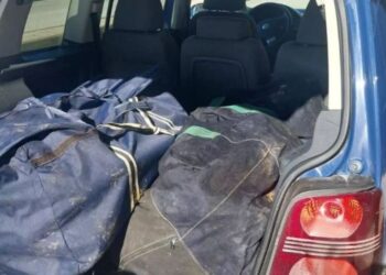 Kapen 75 kg kanabis në Igumenicë, arrestohet 54-vjeçari nga Shqipëria –