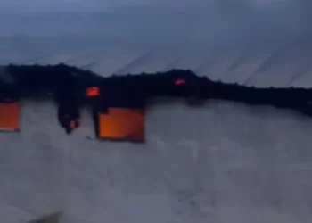 Zjarr në një stallë në Selenicë, 22 krerë gjedhë të djegur –