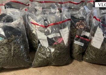 Sekuestrohen 57 kg kanabis dhe një armë zjarri në Vlorë, arrestohen dy persona (Emrat) –