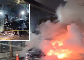 Shkrumbohet makina luksoze, mjeti në pronësi të një personi me precedent penal (Emri) –