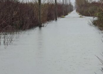 Shkarkimet në tre hidrocentralet e kaskadës së Drinit, përmbytet sërish Oboti! Niveli i ujit arrin në 50 cm –