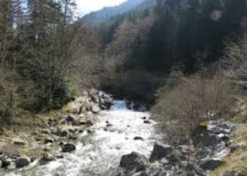 E rëndë në Delvinë, i moshuari rrëzohet aksidentalisht në përrua dhe humb jetën –