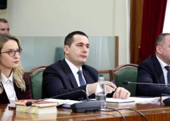 Ka prova të reja për Ballukun, kriminelët kërcënuan dëshmitarët në emër të saj –