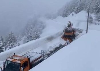 Ortekë dëbore në aksin Qafë Thore-Theth, rruga bllokohet plotësisht për lëvizjen e automjeteve –