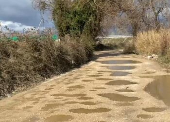 Të jesh i sëmurë mbërrin i vdekur në spital –