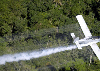 Kolumbia rifillon shkatërrimin e të mbjellave të kokainës me glifosat –