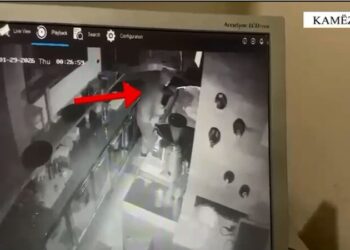 Vodhën materiale dhe shuma parash në një biznes në Kamëz, prangosen dy të rinjtë –