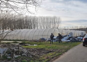 Itali / 25-vjeçari shqiptar gjendet i pajetë buzë rrugës, i vrarë me plumb në kokë –