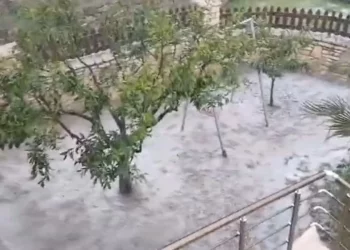 Stuhia e papritur godet luginën e Vjosës, bujqësia pëson dëme të mëdha –