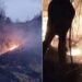 Flakët përfshijnë kodrën e Somotinës në Pogradec, ndërhyjnë zjarrfikësit dhe banorët –