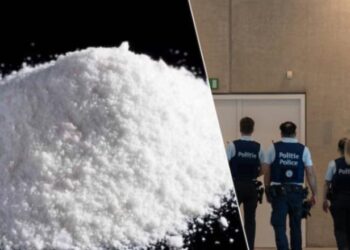 Tre të akuzuar për trafik droge arratisen para gjyqit në Belgjikë, dyshohet se erdhën në Shqipëri –