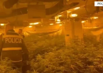 magazinën e mbushur me kanabis. Shpallet në kërkim pronari, drejtor i burgut të Rrogozhinës, i përfshirë edhe përgjegjësi i OSHEE-së –