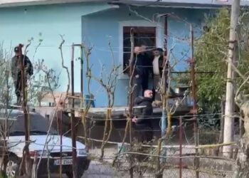 Krimi në familje në Roskovec/ Policia ndërhyri pas sherrit para 4 ditëve, edhe 10 vite më parë autori tentoi të… –