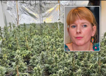 “Nëna ime e apasionuar pas luleve”, dëshmitë në Gjyktën belge, dënohen 3 shqiptarët