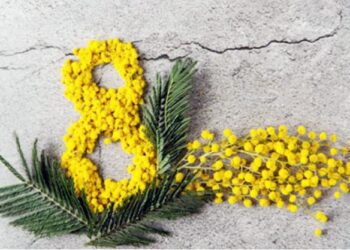 Nga ditë e revoltës ndaj sistemit, festë me lule dhe feminizëm –