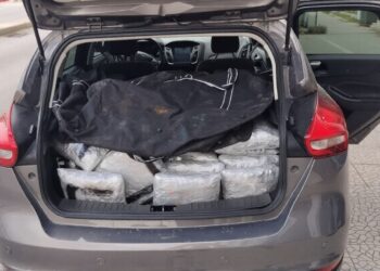 Tentoi të kalonte 60 kg marijuanë në kufi, arrestohet një 18-vjeçari –