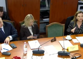 U ndjeva e lënduar nga Peleshi dhe gratë socialiste që nuk reaguan –