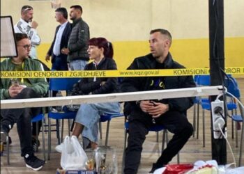 Doris Madhi nuk punoi për demokratët, por bëri fushatë për kandidatin e PSD –