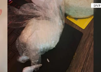 Shpërndante kokainë dhe hashash në qytet, arrestohet 36-vjeçari nga Lushnja –