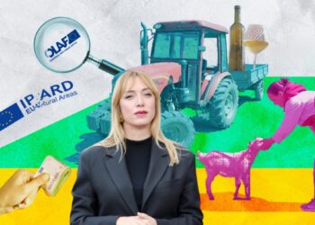 Abuzimi me fondet e Bashkimit Europian, Ish-ministrja Frida Krifca merret në pyetje nga SPAK –