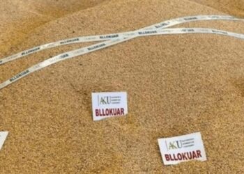 24 ton misër me aflatoksinë B1 bllokohet në Qafë-Botë, ishte importuar nga Greqia –