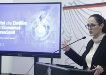 Do monitorojmë, por nuk ndërhyjmë dot në çmime –