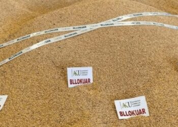 Lejuan tregtimin e misrit me aflatoksinë të bllokuar, shkarkohen inspektorët e AKU Shkodër –