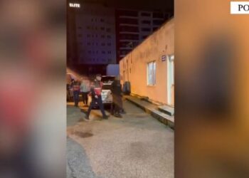 Vodhën argjendarinë në Pogradec, arrestohet banda e Laçit