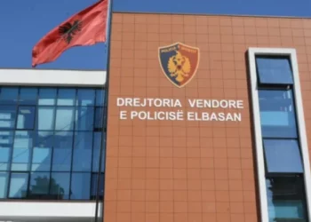 Përdori kredencialet e koleges dhe përfitoi 330 mijë lekë, procedohet punonjësja e Postës në Elbasan –