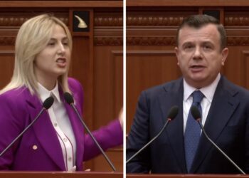 Të përjashtohet, u fye dinjiteti i një nëne! –