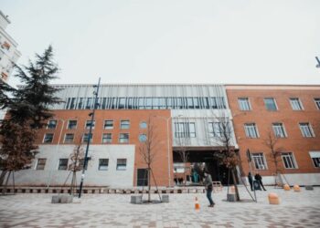 Braktis foshnjën pas lindjes? E huaja zhduket në Tiranë, në ndjekje nga policia –