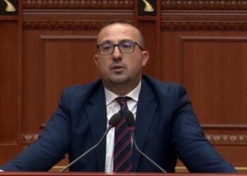 Po të hëngrën qentë në Lushnje tërbohesh, s’ka tetanoz –