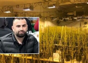 Magazina e kanabisit në Peqin, kamera nxjerr zbuluar policët, lanë Romario Hasën të ikte –