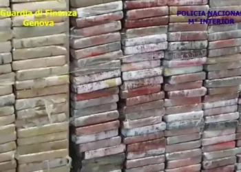 Ndrangheta dhe mafia shqiptare partnerë në krimin italian –