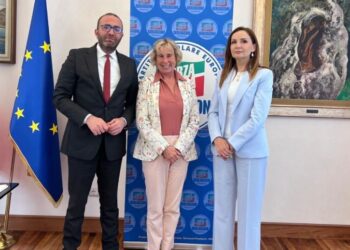 Në Shqipëri po cënohen standardet demokratike –