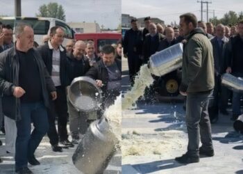 Blegtorët prodhues të qumështit njoftojnë protestë para Ministrisë së Bujqësisë: Po falimentojmë –