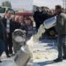 Blegtorët prodhues të qumështit njoftojnë protestë para Ministrisë së Bujqësisë: Po falimentojmë –