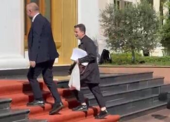 Interpelanca me ministrin e Bujqësisë, Erion Braçe shkon në Kuvend me qese me perime –