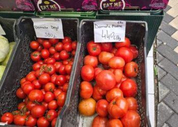 Ja kur do të ndërhyjmë –