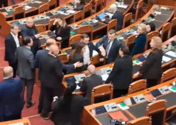 Përplasje në Kuvend, 2 deputetet grinden për kartën, Noka gjuan me shishe… –